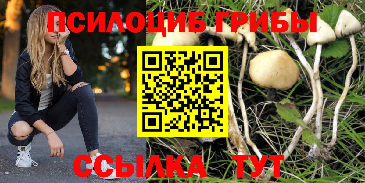 Галлюциногенные грибы мицелий Улан-Удэ